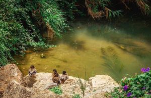 VALLSINFO: Projecte de millora al Parc del Mas Miquel