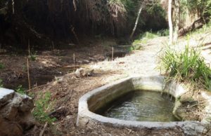 Recta final de la recuperació i neteja del Torrent del Sant Pou de Valls