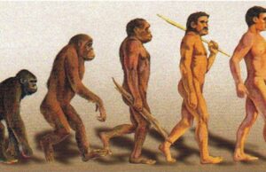 Cultura Animi (12-12-2025). No, l’ésser humà no ve del mico