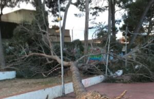 Mesures preventives per fer front al temporal de vent