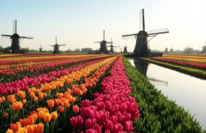 Cultura Animi (16-01-2026). La primera bombolla financera